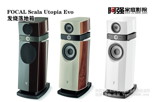 Hegel H30(j)+FOCAL Scala Utopia Evo˹b