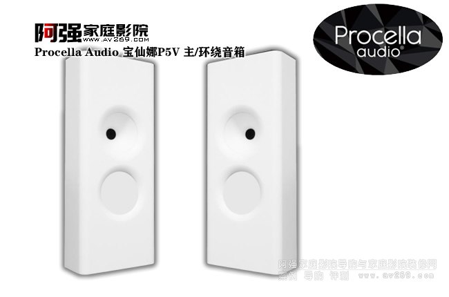 Procella Audio P5V ڒ/h@