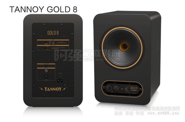  TANNOY GOLD 8ԴO 